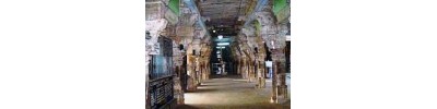 065. திருகடம்பந்துறை